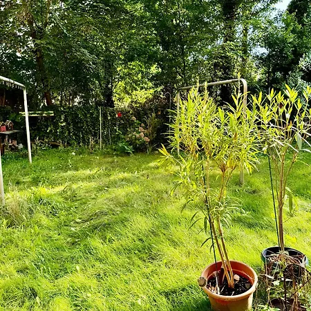 Bliss Homes Ge Ringcity アパート *