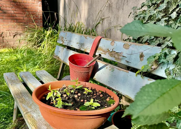 Appartement Bliss Homes Ge Ringcity Gelsenkirchen